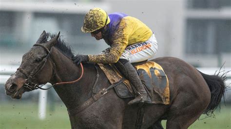 champion hurdle champion hurdle 2018 bet|Topic: 2018 Champion Hurdle .